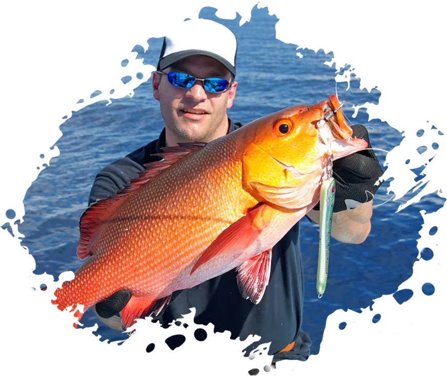 Modern Design Exotic Fishinizerry - 乐鱼官网