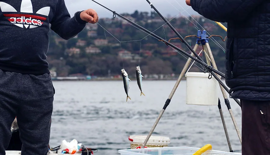放心体验优质服务，乐鱼官网提供乐鱼集团官方服务与LEYU乐鱼APP下载入口，官方版本安全便捷，体育内容与平台资讯集中呈现 - 乐鱼官网